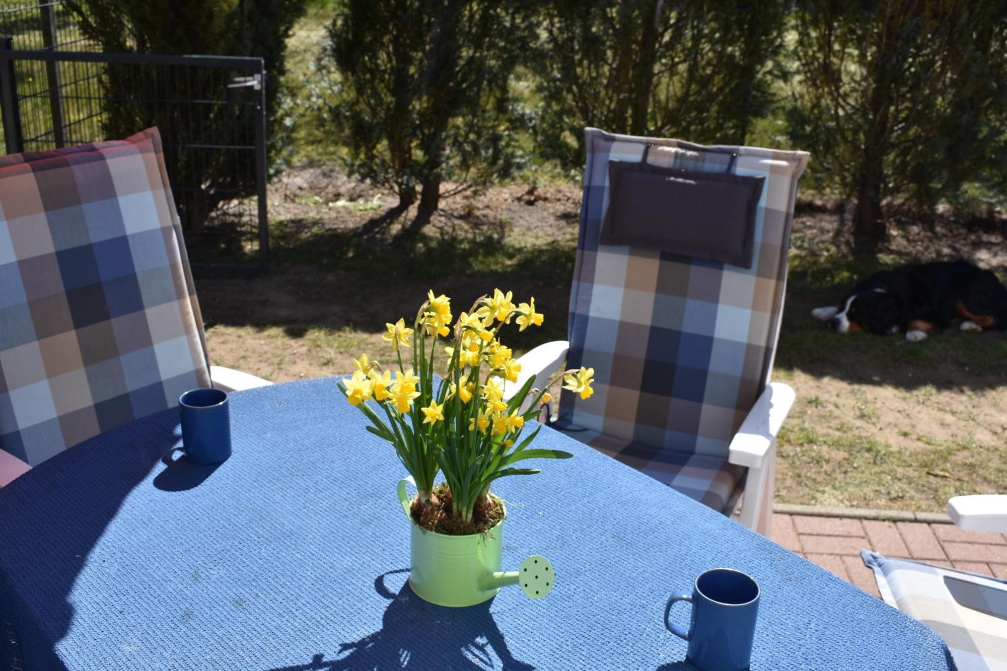 Ferienhaus Berner Sennen Thiessow Buitenkant foto